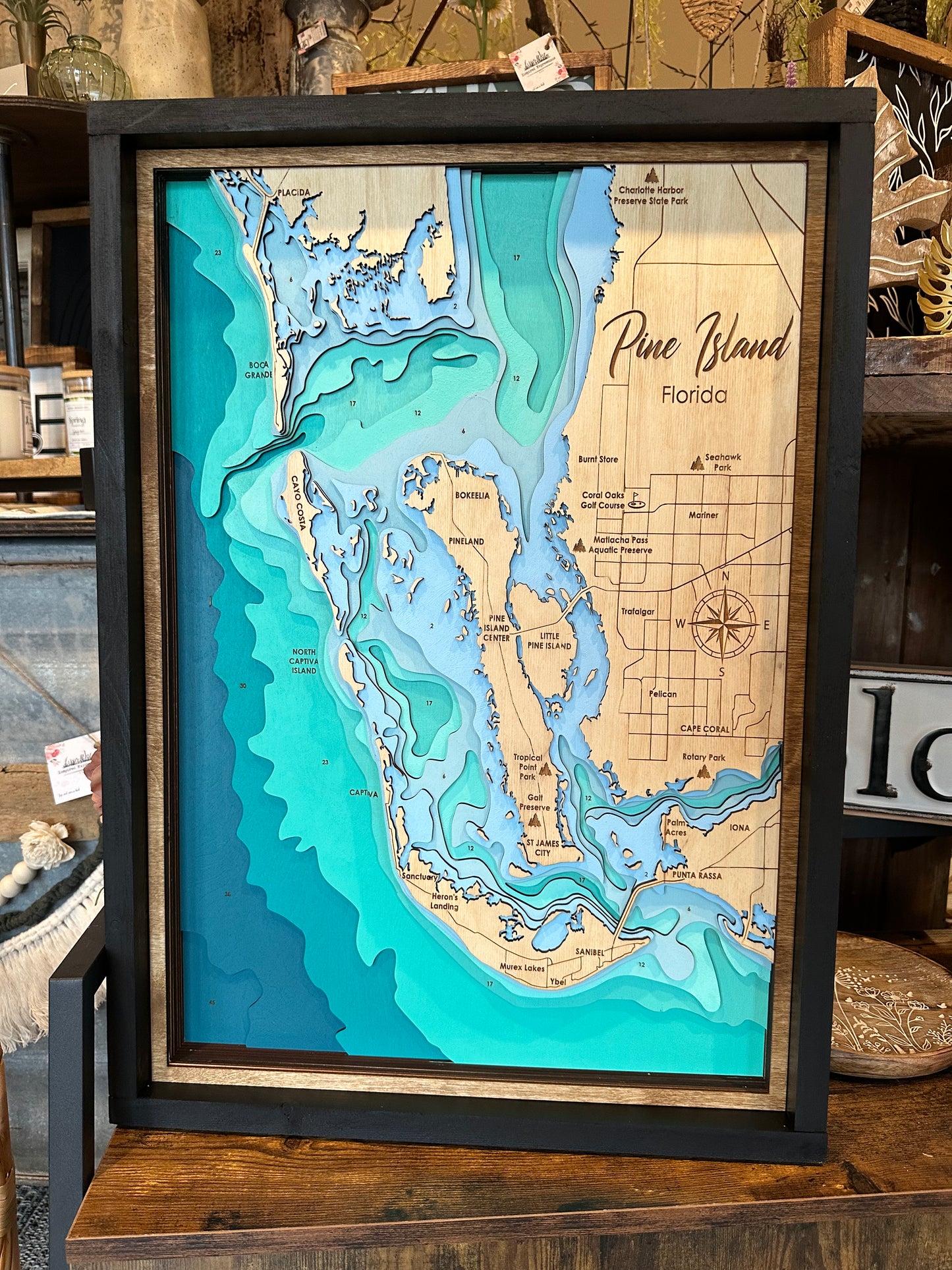 Pine Island Florida topographical Map