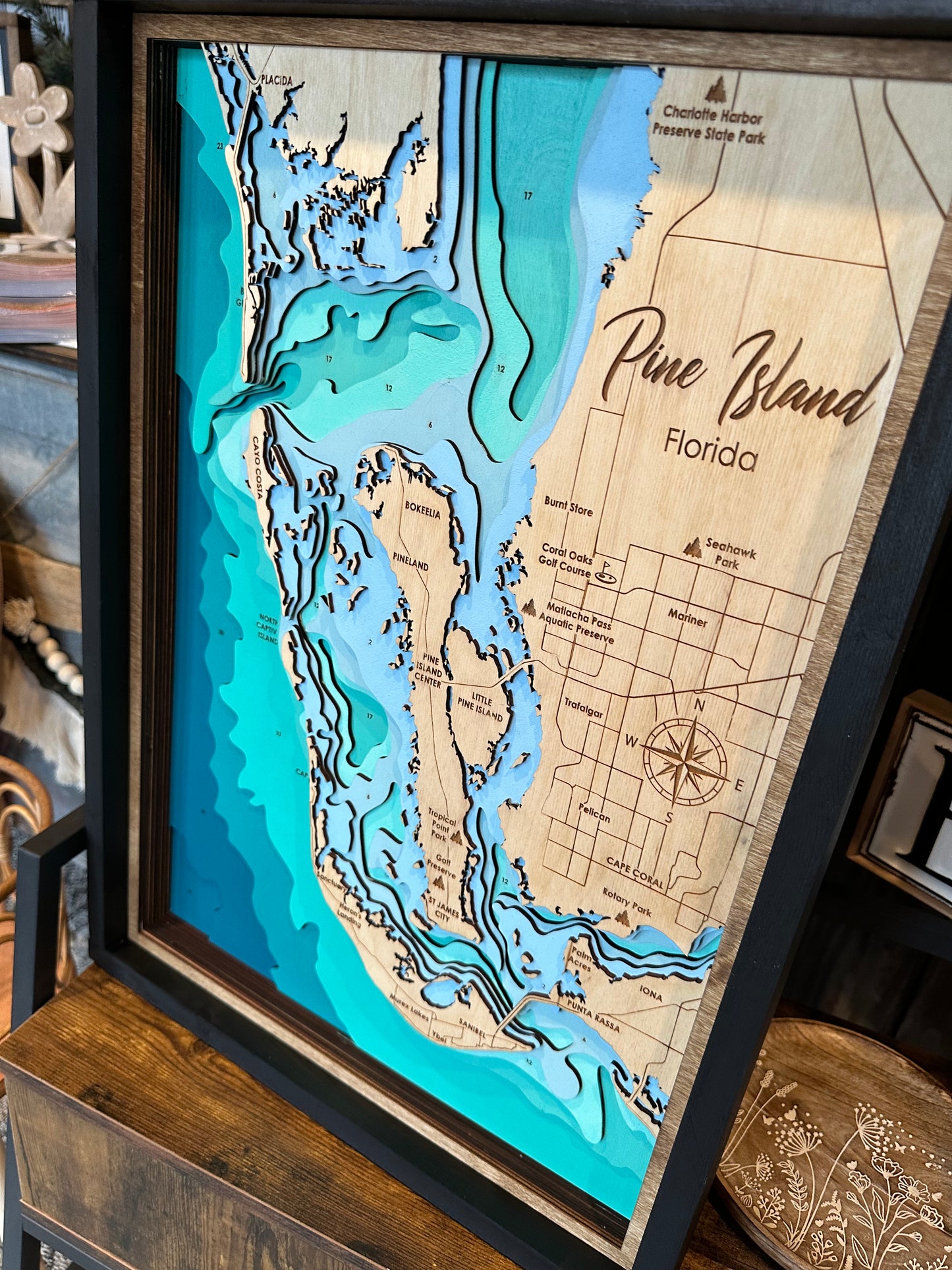 Pine Island Florida topographical Map